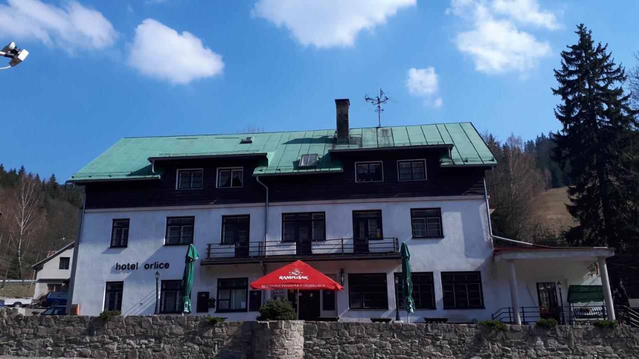 Hotel Orlice Destne v Orlickych horach Ngoại thất bức ảnh
